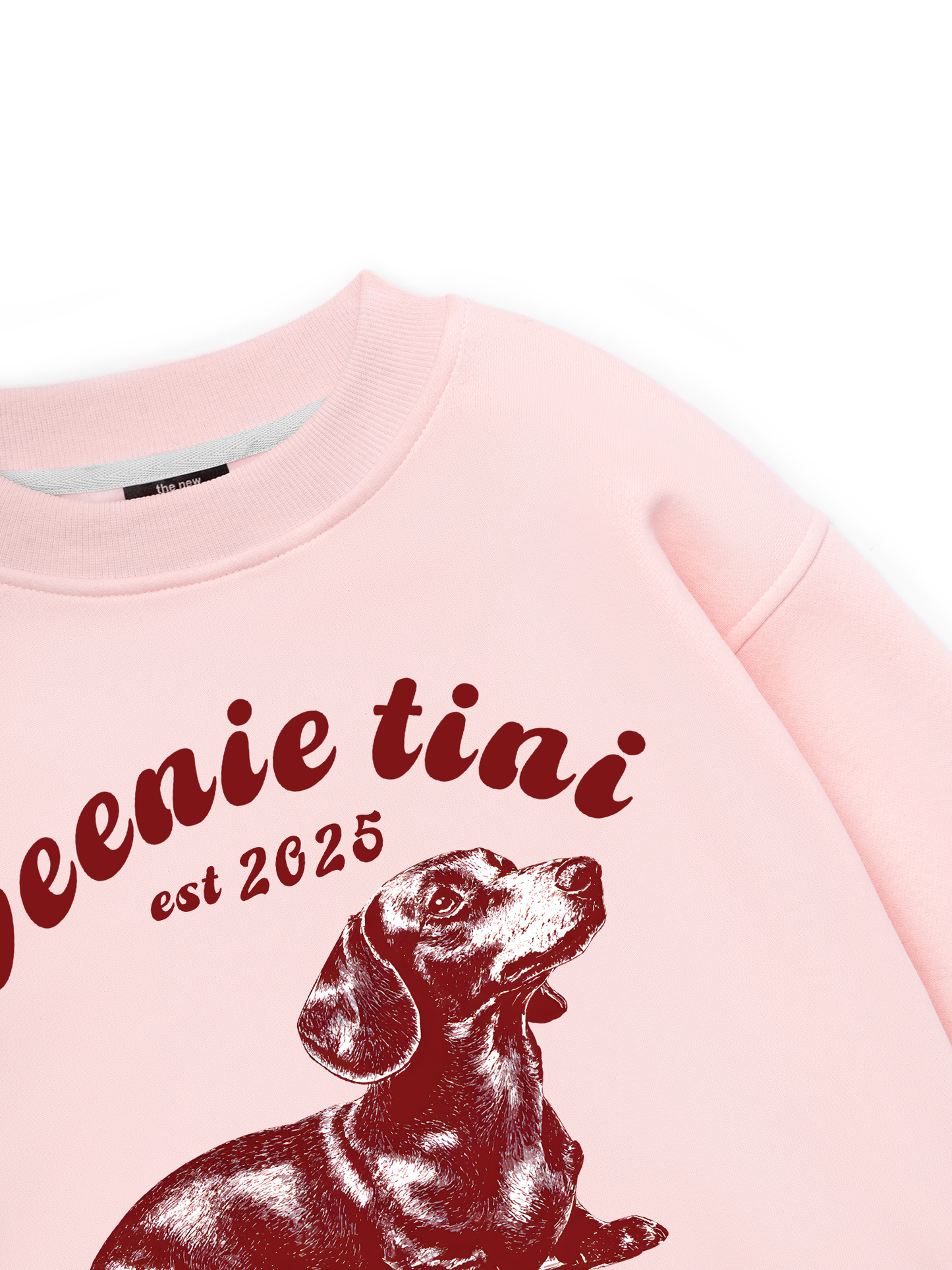 Weenie Tini Dachshund Sweater