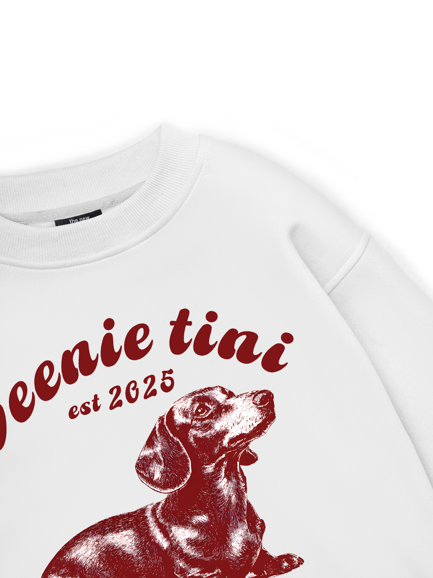 Weenie Tini Dachshund Sweater
