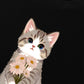 Áo Thun Relaxed Fit  Blooming Kitty