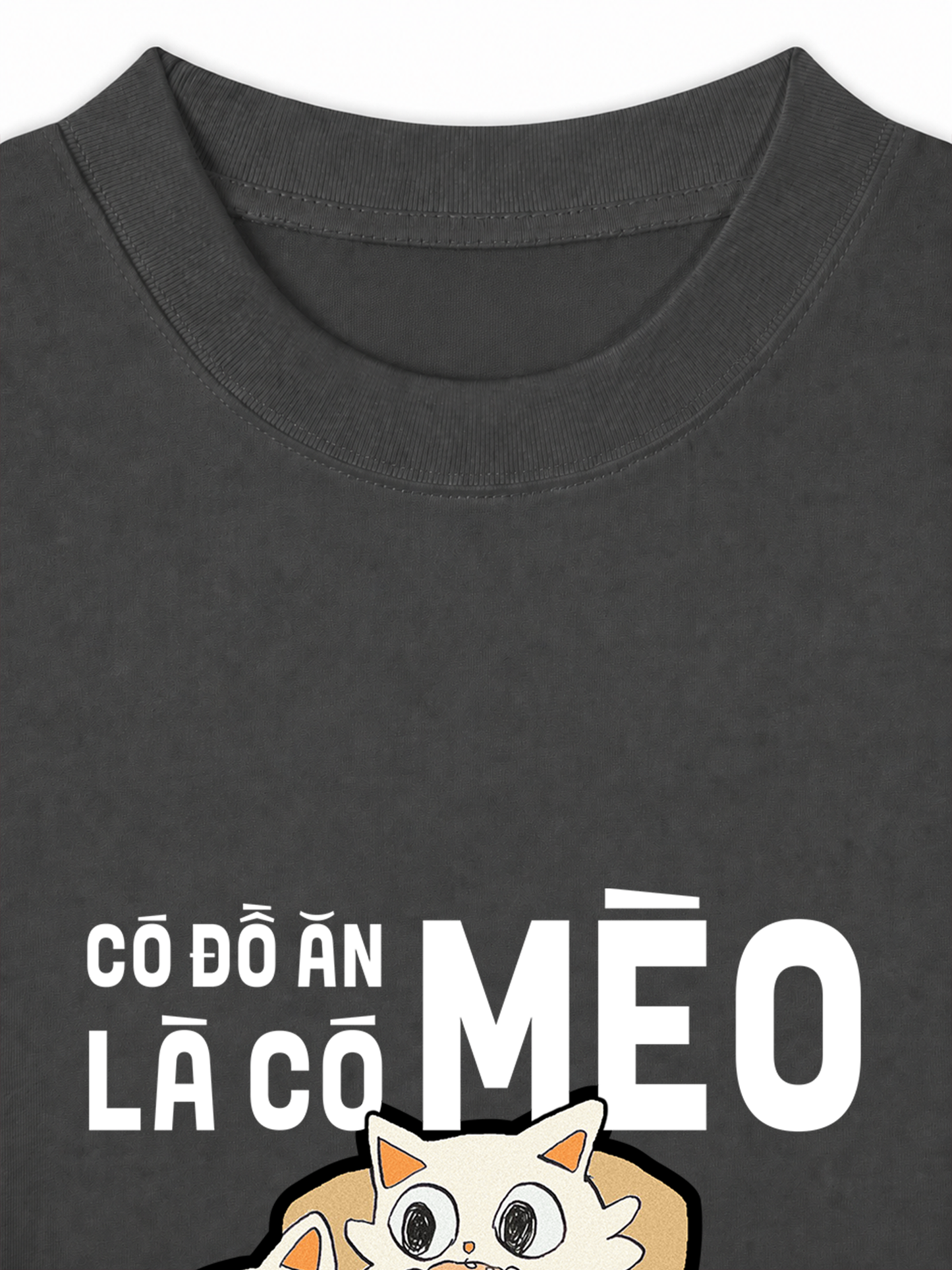 Áo Thun Relaxed Fit Hội Mèo Hăm Ăn