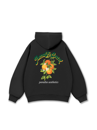 Áo Hoodie Nỉ Bông Amalfi