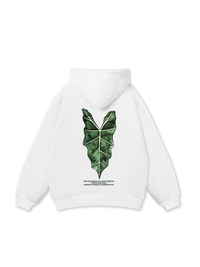 Áo Hoodie Nỉ Bông Tropical Alocasia Leaf