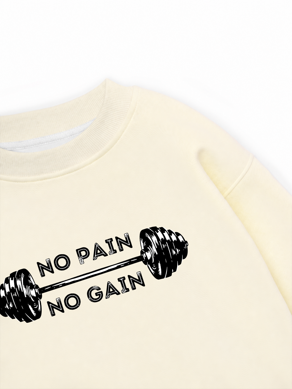 Áo Sweater Nỉ Hai Da No Pain No Gain