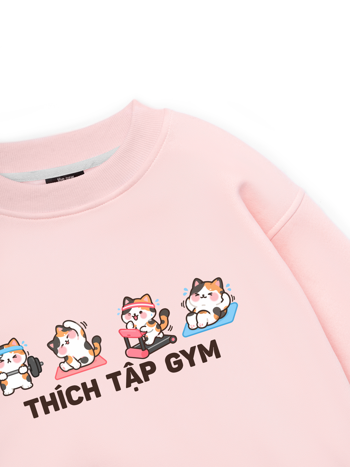 Thích Tập Gym-Mèo Tam Thể Sweater