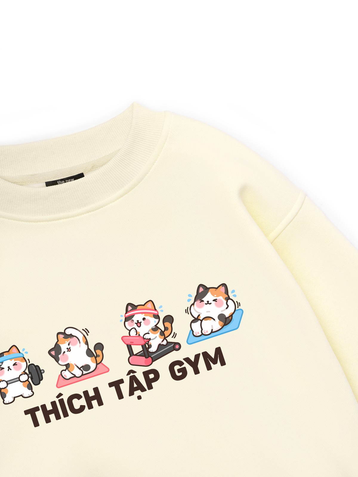 Thích Tập Gym-Mèo Tam Thể Sweater