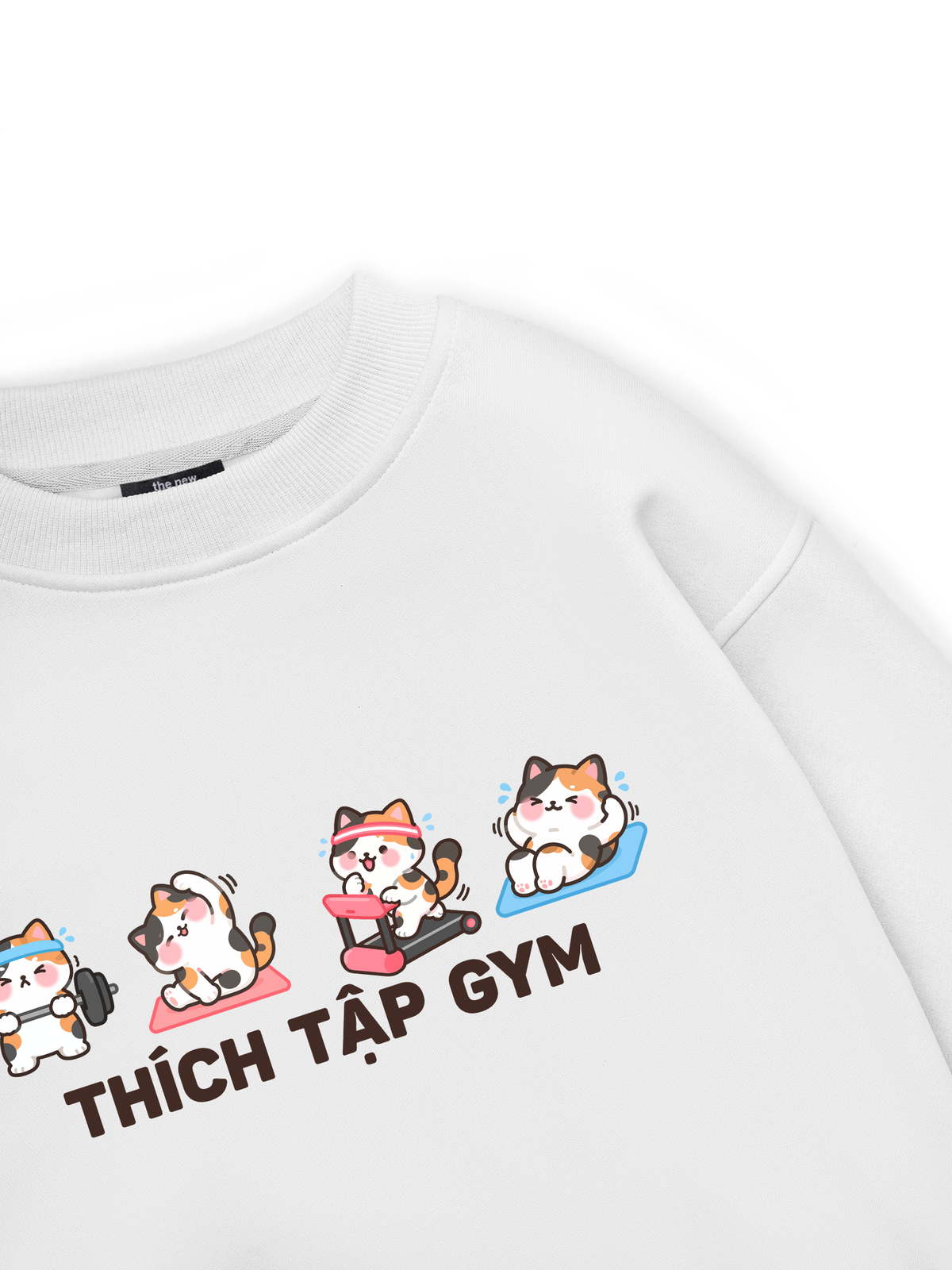 Thích Tập Gym-Mèo Tam Thể Sweater