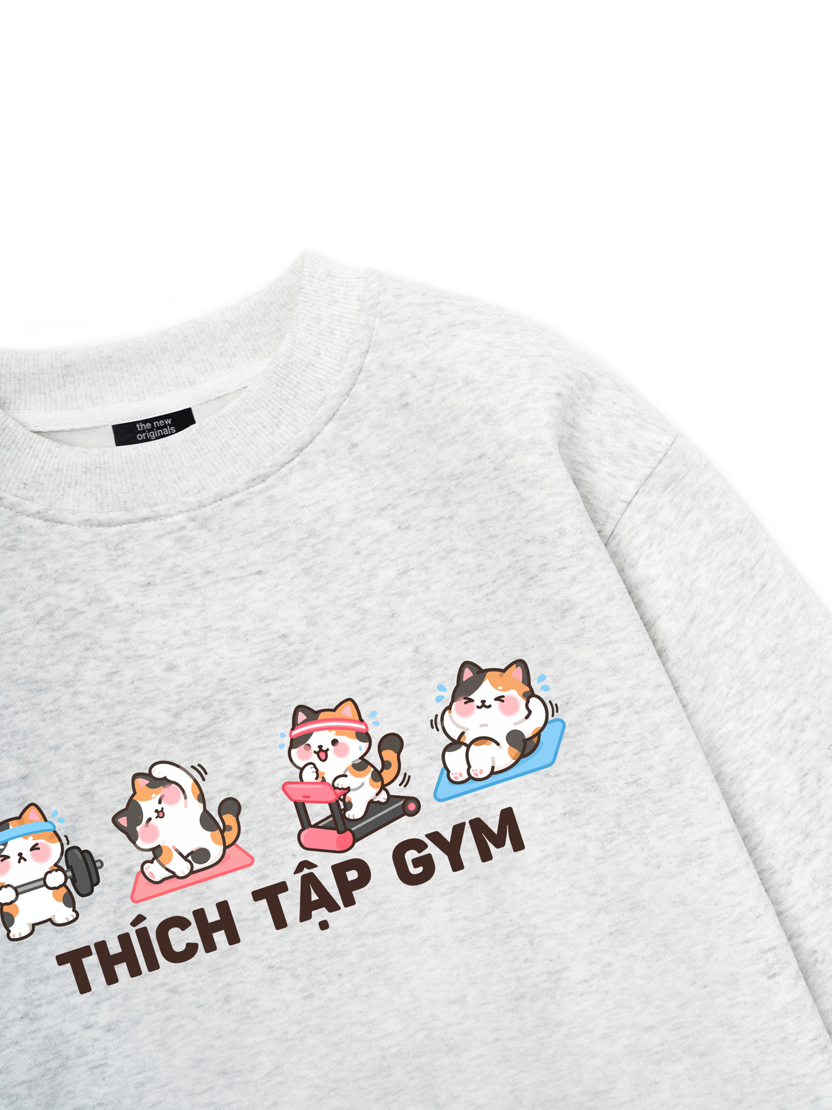 Thích Tập Gym-Mèo Tam Thể Sweater