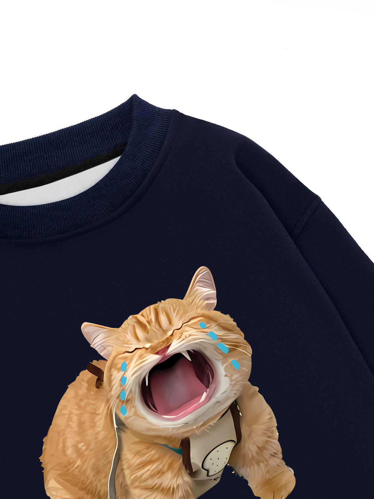 Áo Sweater Nỉ Hai Da Animal Mood Funny Meow