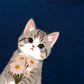 Áo Thun Relaxed Fit  Blooming Kitty
