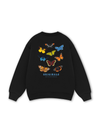 Native Butterflies Sweater
