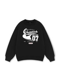 Quidditch Potter Sweater