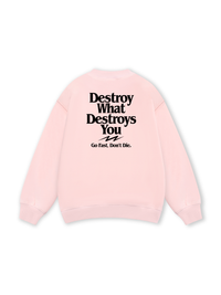 Life Vibe Destroy What Destroy You Sweater