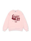 Quidditch Potter Sweater