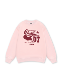 Quidditch Potter Sweater
