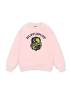 Harry Potter Huflepuff Vintage Sweater