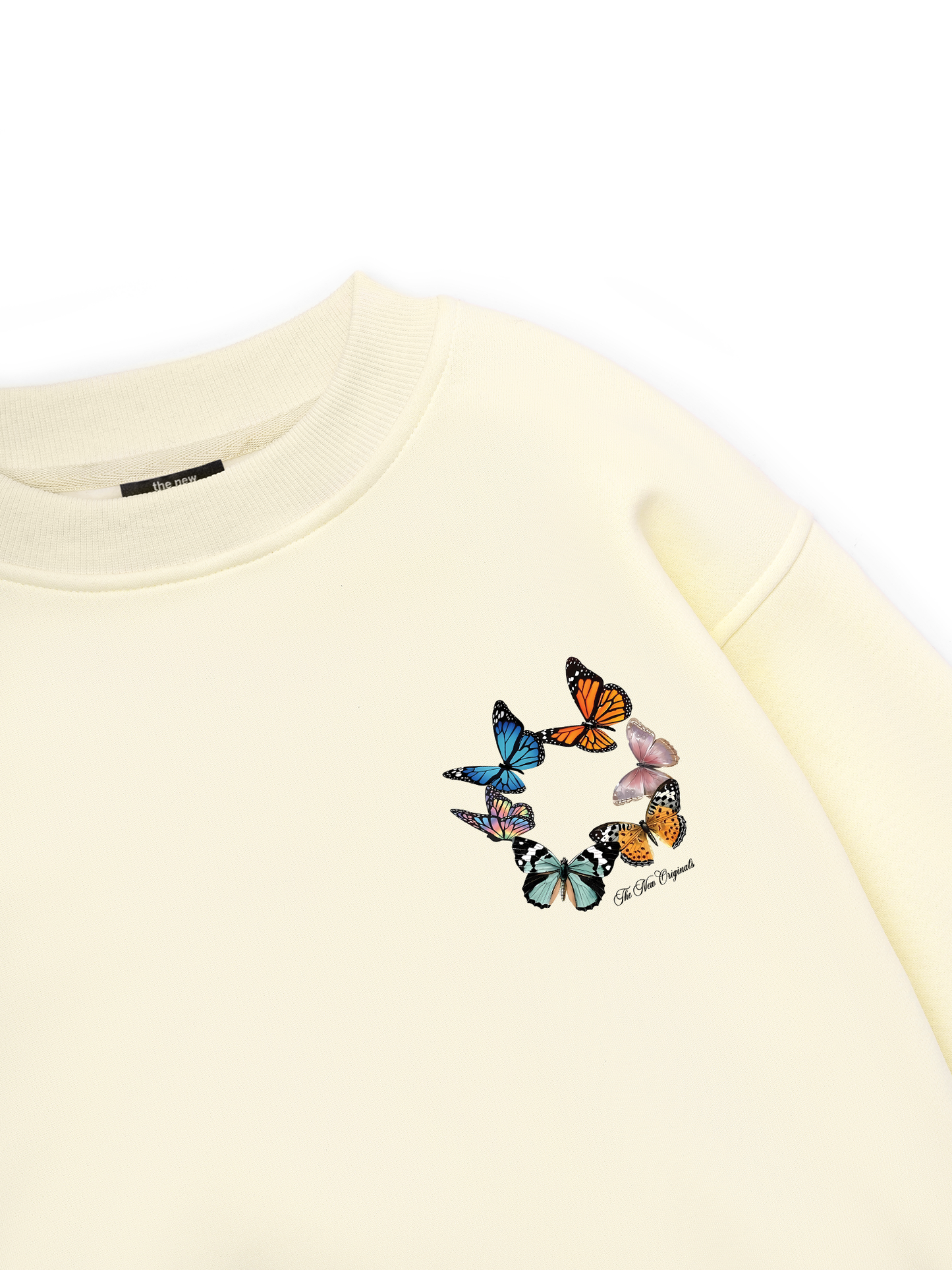 Clairo Immunity Sweater