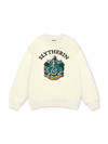 Harry Potter Slytherin Vintage Sweater
