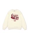 Quidditch Potter Sweater