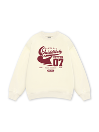 Quidditch Potter Sweater