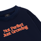 Not Perfect Sweater