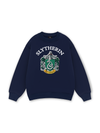 Harry Potter Slytherin Vintage Sweater