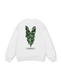 Tropical Alocasia Leaf Sweater