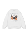 TROPICAL The Stillness Sweater