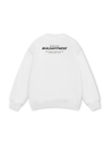 Training Team Sweater