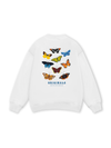 Native Butterflies Sweater