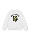 Harry Potter Huflepuff Vintage Sweater