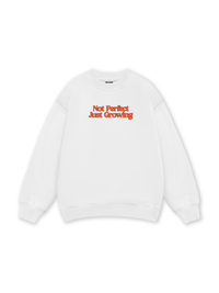 Not Perfect Sweater