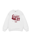 Quidditch Potter Sweater