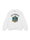 Harry Potter Slytherin Vintage Sweater