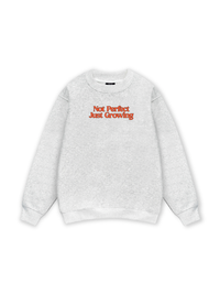 Not Perfect Sweater