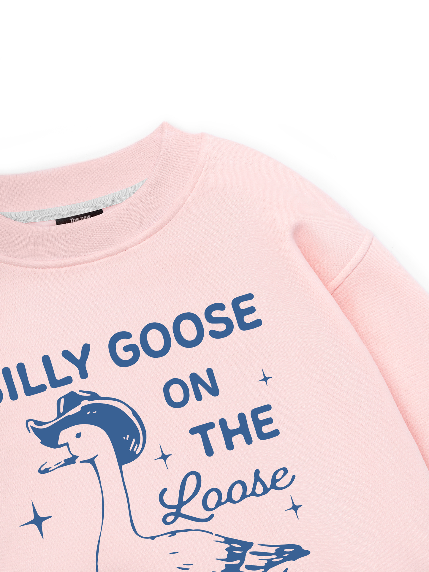 Silly goose Sweater