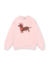 Howdy Dachshund Sweater