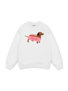 Pink Dachshund Sweater