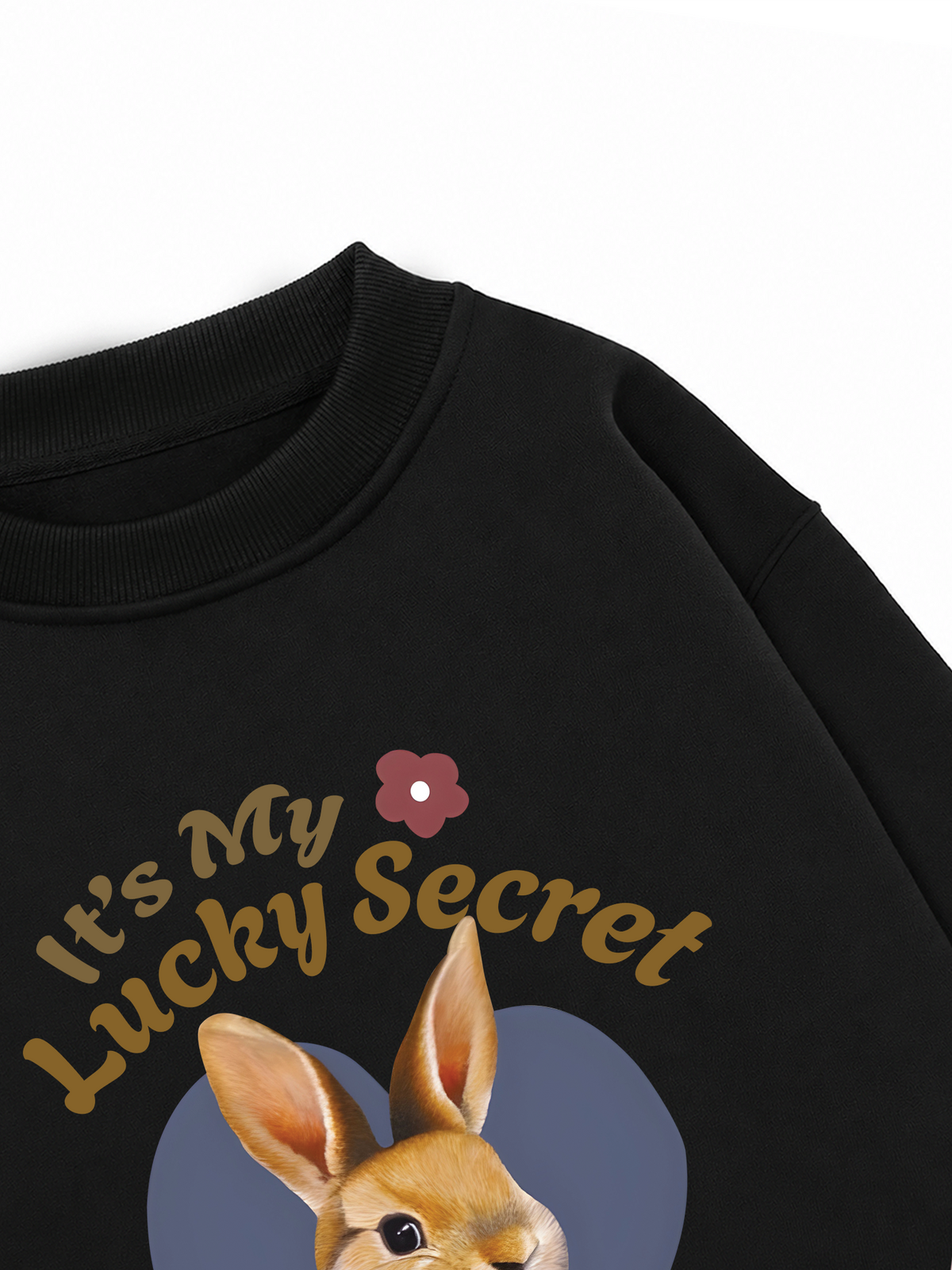 Áo Sweater Nỉ Hai Da It's my lucky secret
