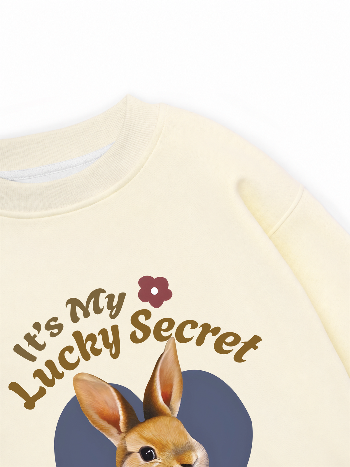 Áo Sweater Nỉ Hai Da It's my lucky secret