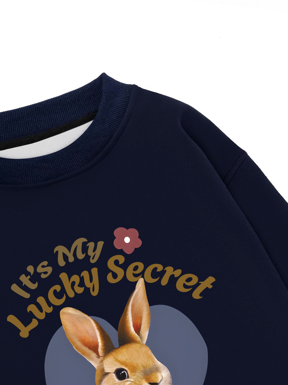 Áo Sweater Nỉ Hai Da It's my lucky secret