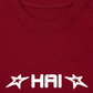 Áo Thun Relaxed Fit 16 - HaiPhonger