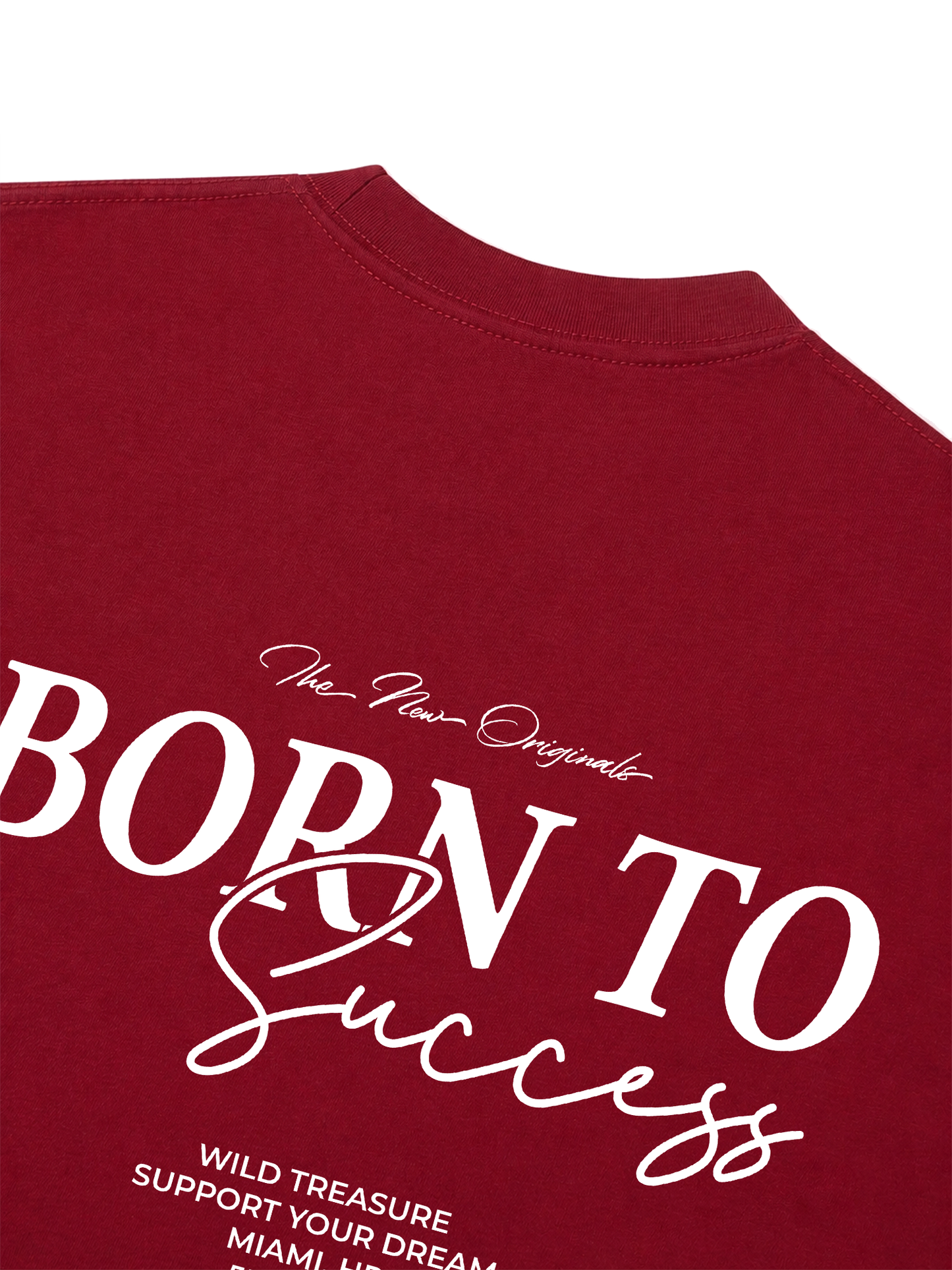 Áo Thun Relaxed Fit Success Story Born To Success