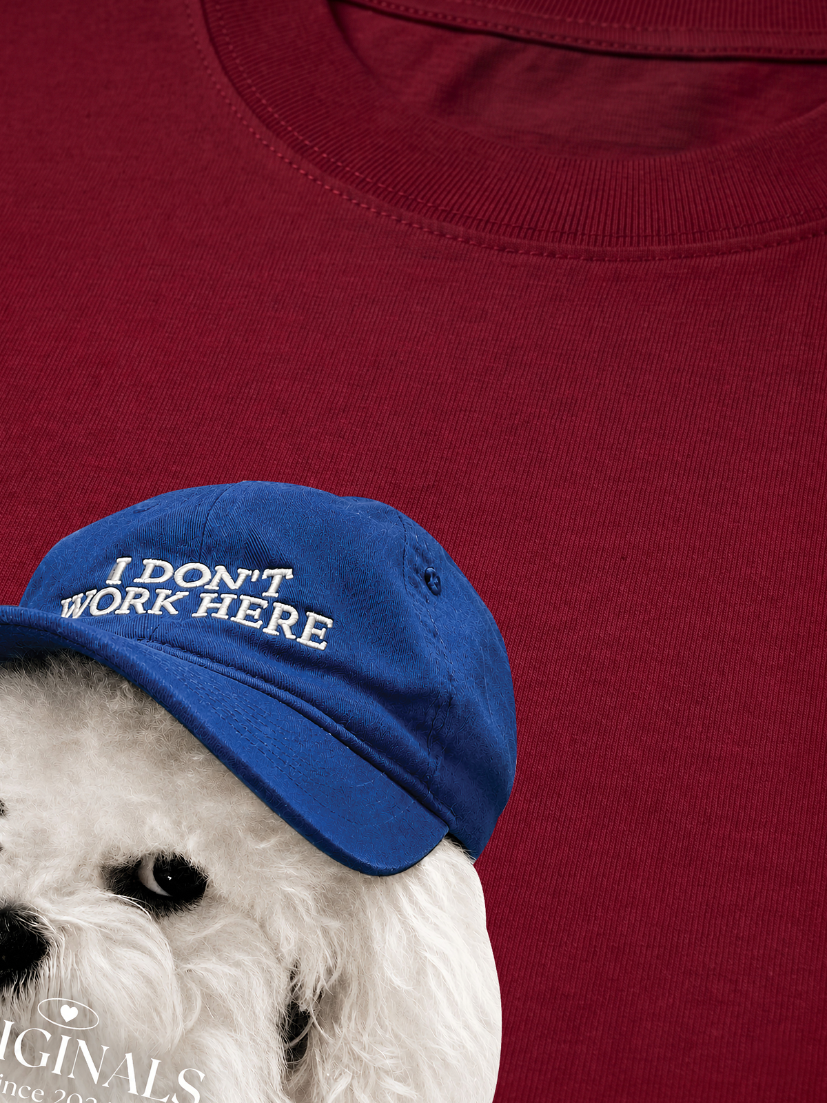 Áo Thun Relaxed Fit Puppy With Blue Hat