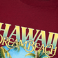 Áo Thun Relaxed Fit Hawaii