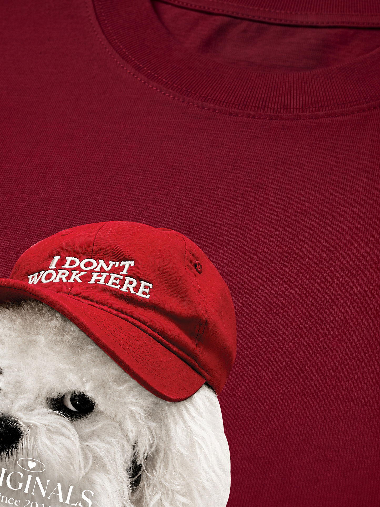 Áo Thun Relaxed Fit Puppy With Red Hat