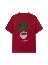 Áo Thun Relaxed Fit Tropical Alocasia
