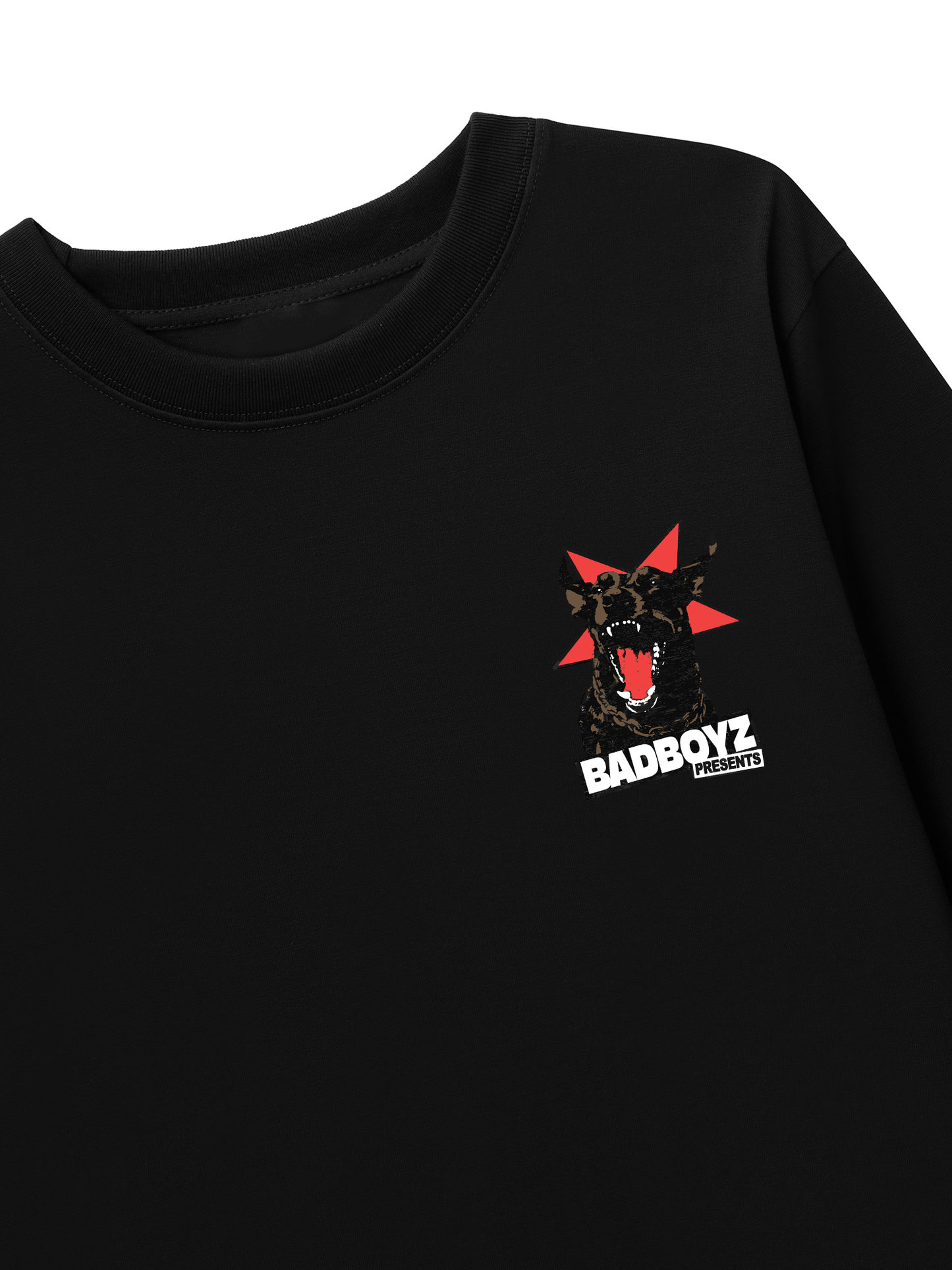 Áo Thun Dài Tay BadBoyz
