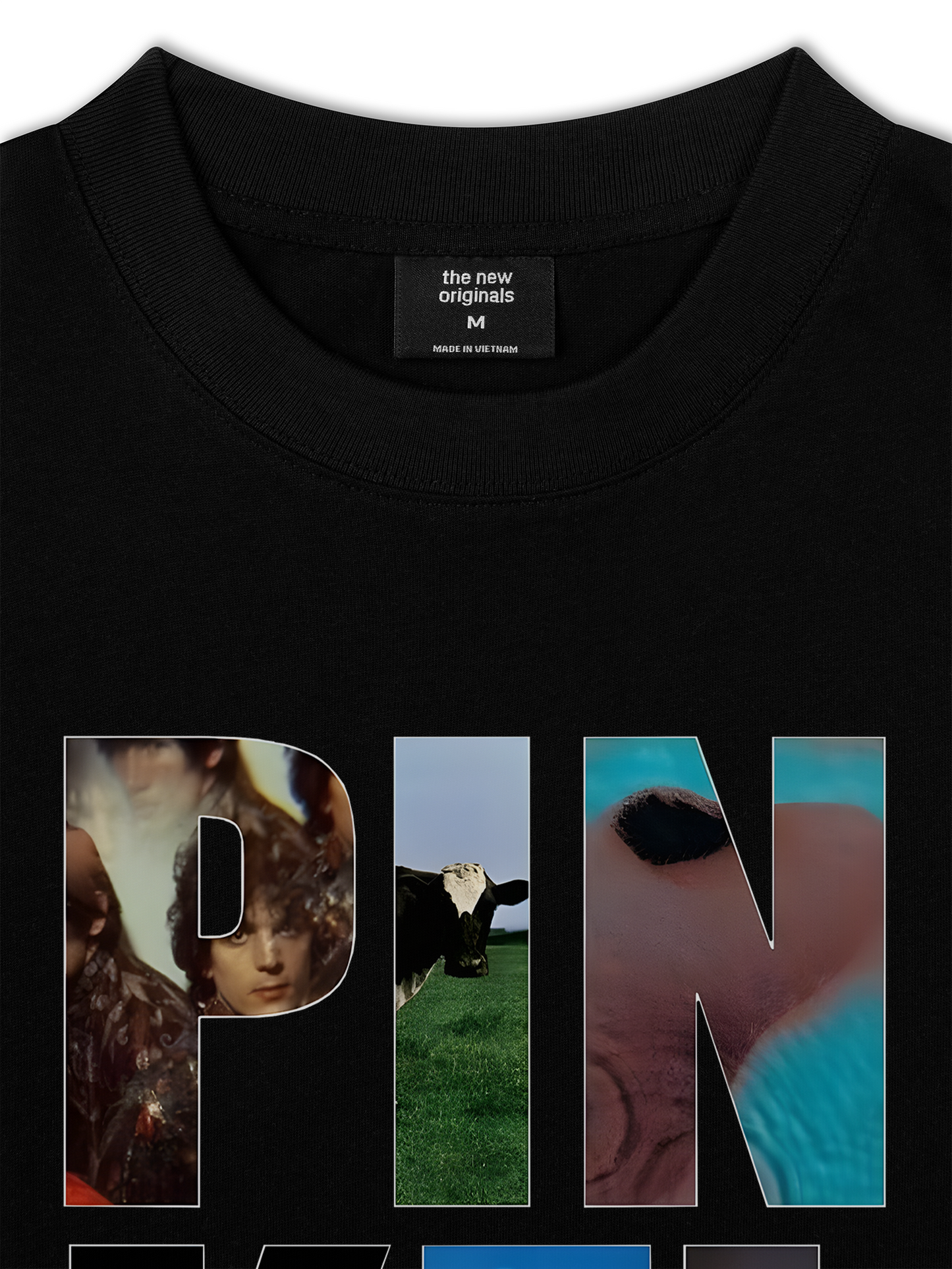 Áo Thun Relaxed Fit Pink Floyd Images