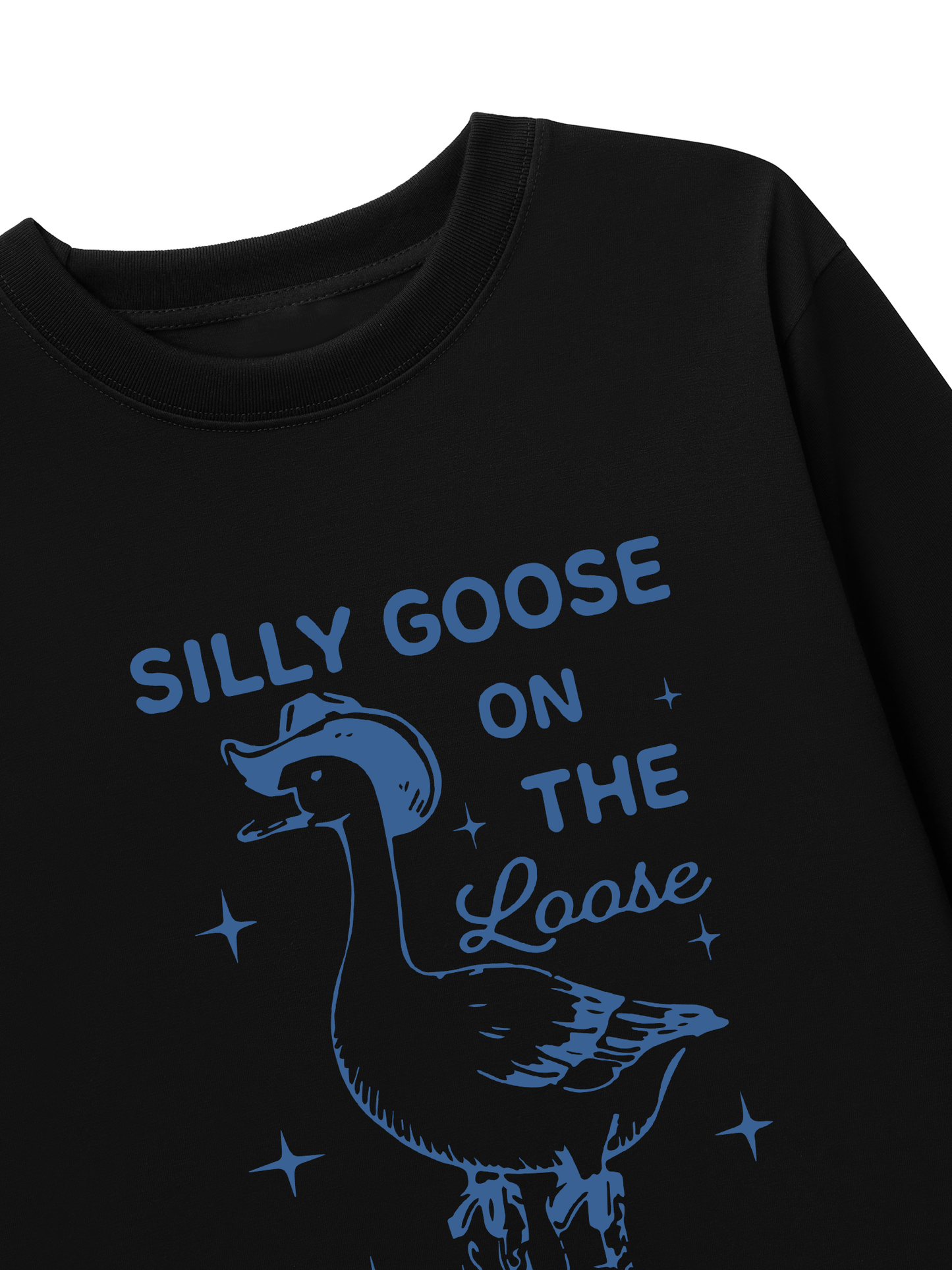 Áo Thun Dài Tay  Silly goose