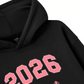 Color Drift Pony Hoodie